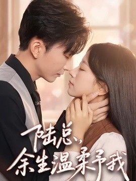 陆总，余生温柔予我海报